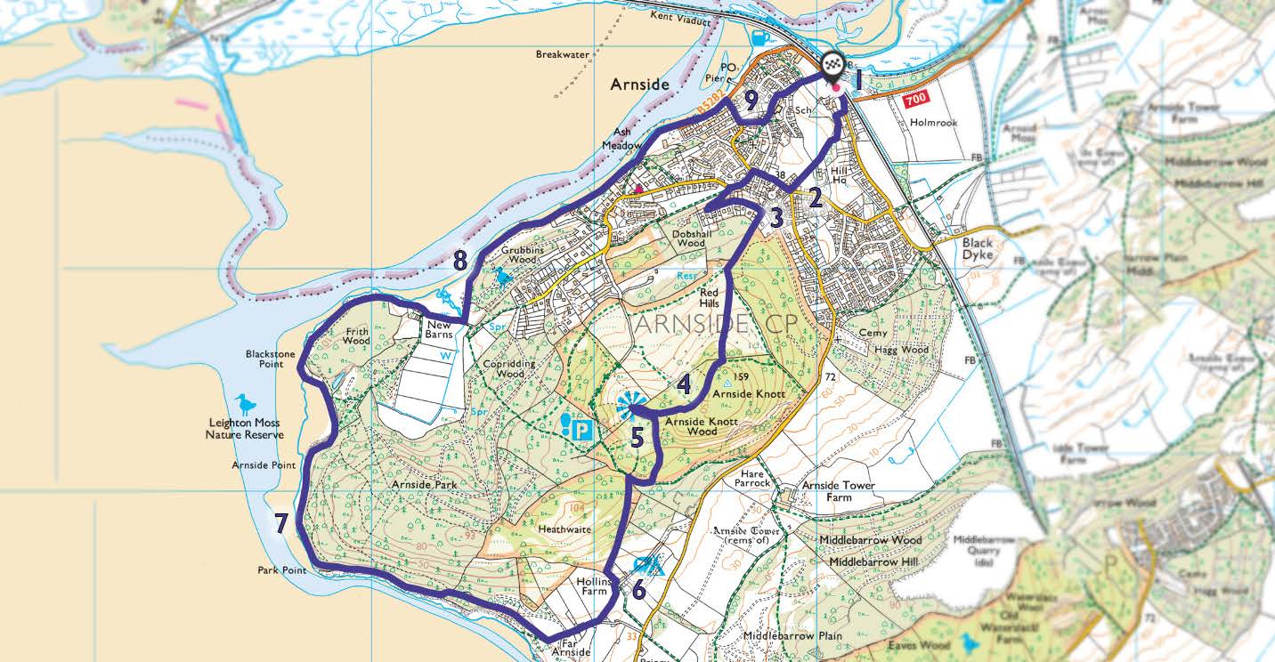 A map of the Arnside Knott circular walk, starting and ending at Arnside train station.