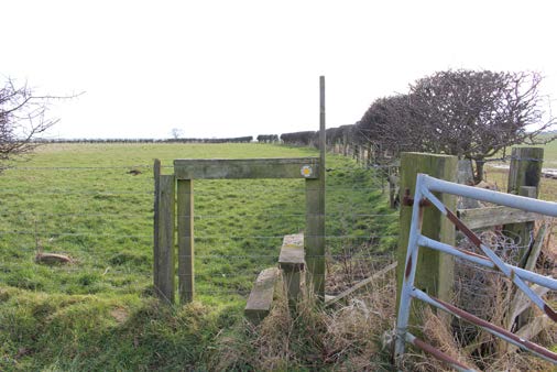 Gate and farmland on the Alnmouth Circular Walk in Northumberland.