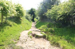 Rural dirt path that begins the walk or hike up Mam Tor.