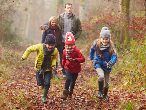 Family walking in the woods