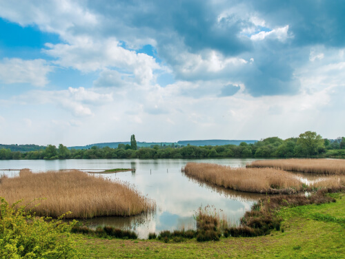 Lake with reeds and countryside under a cloudy sky.