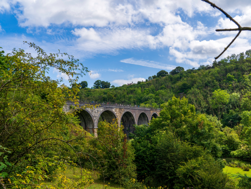 Brackenfield Bridge surrounded by trees.