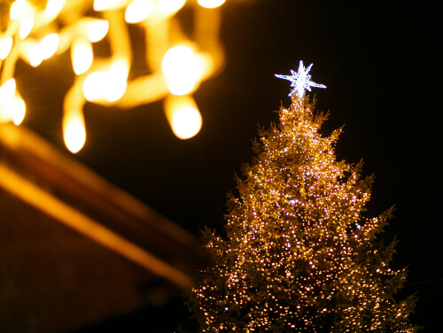Fairy lights dangling before a Christmas Tree