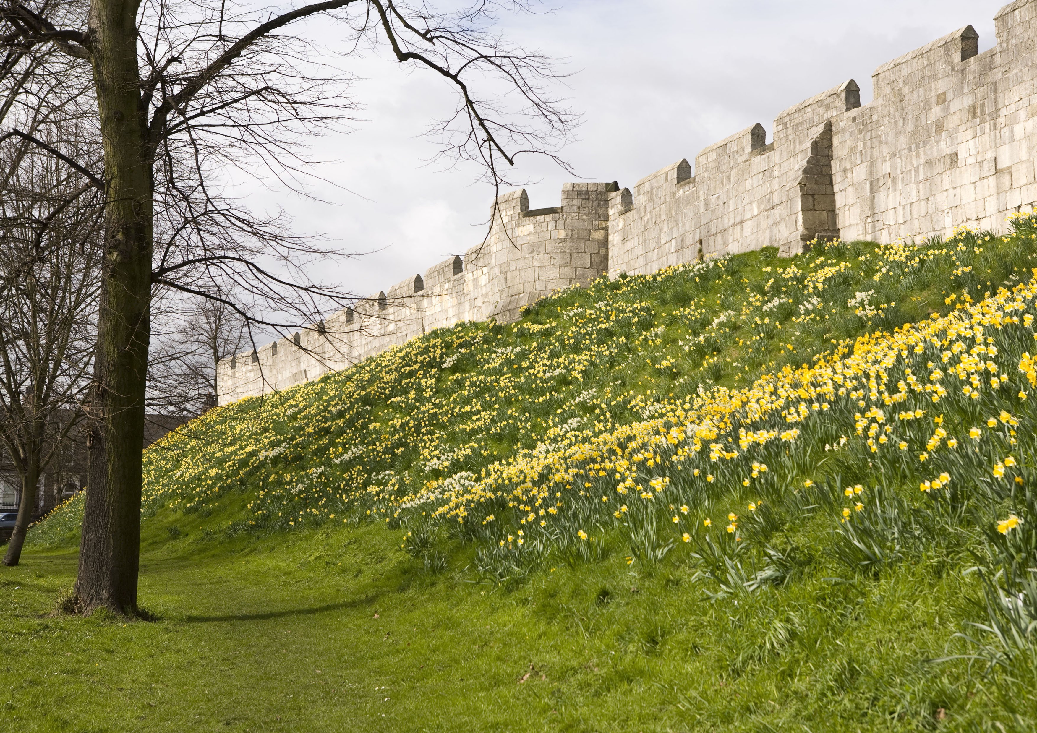 Best staycation ideas in the North - York Minster