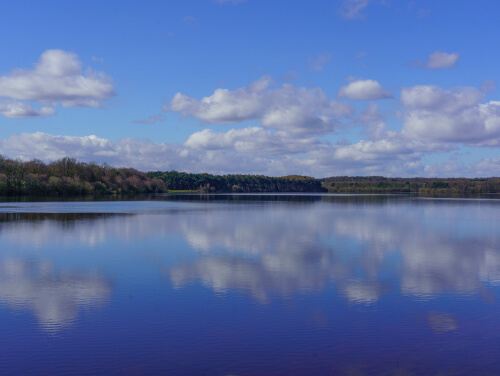 Lake with calm water reflecting clouds and surrounding woodland under a blue sky.
