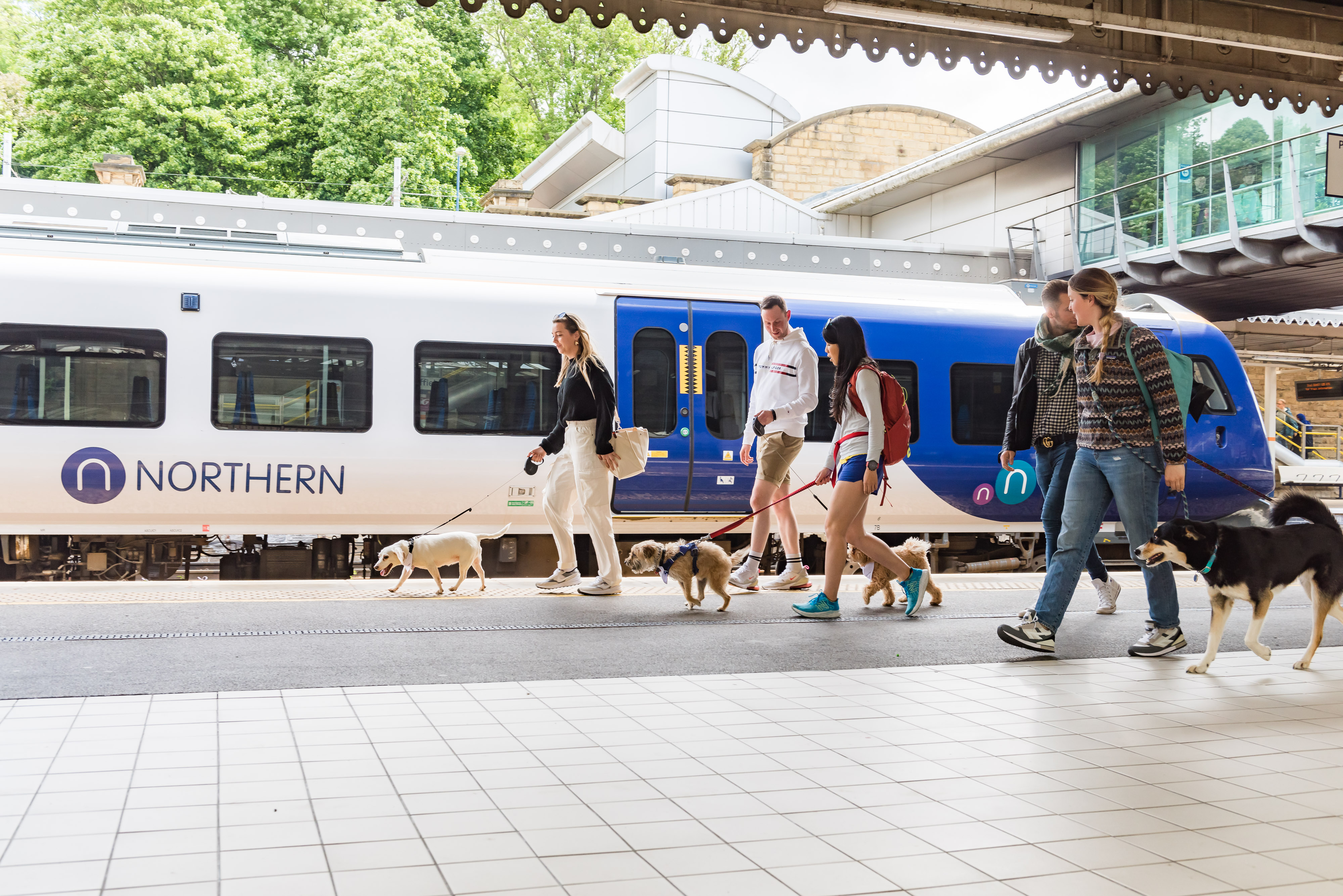 Image of dogs and their owners on a platform in front of a Northern train