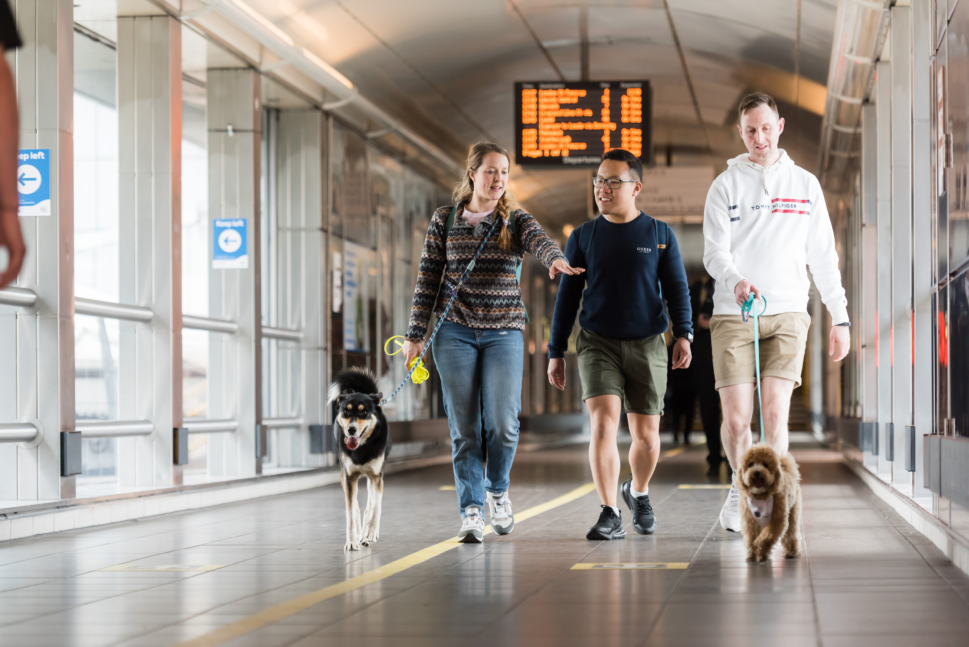 Dogs and their owners walking through a train station
