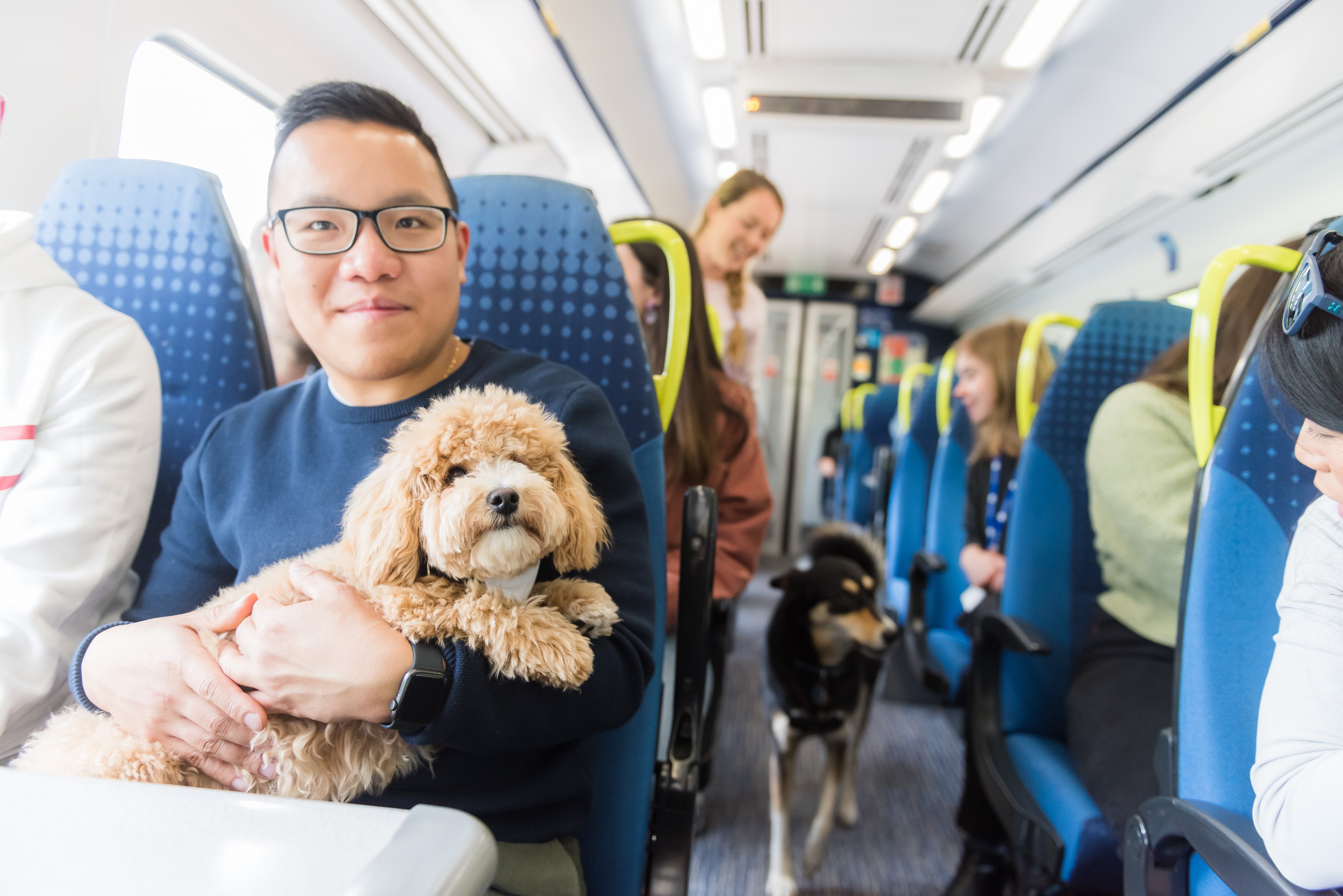 Man sat holding his small dog on a Northern train