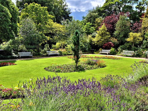 A beautifully landscaped garden with a central circular flowerbed, surrounded by benches and lush greenery. Lavender plants are blooming in the foreground.