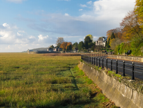 Scenic view of the grassy salt marshes at Grange-over-Sands, with a seafront promenade, black iron railings and autumn-coloured trees stretching along the coastline.