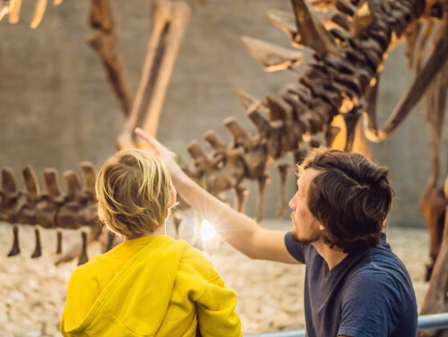Child and man looking at bones