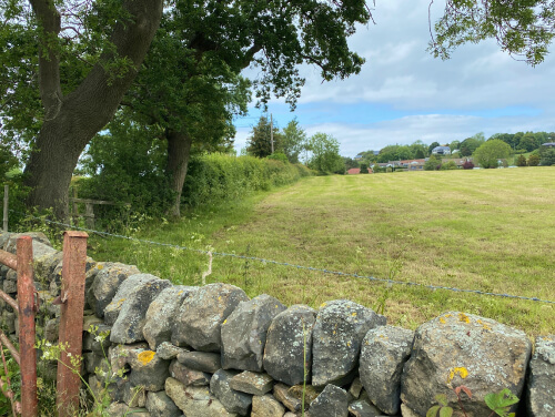 Stone wall beside a grassy field bordered by trees and hedgerows in the countryside.