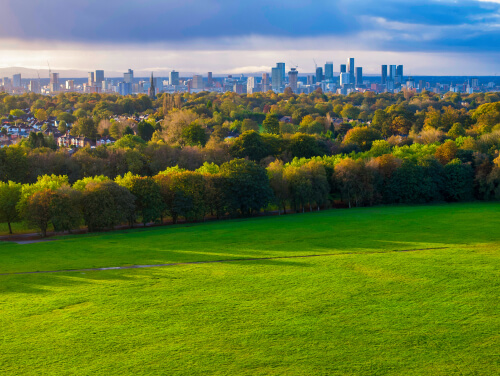 Green parkland with trees and a city skyline in the distance.