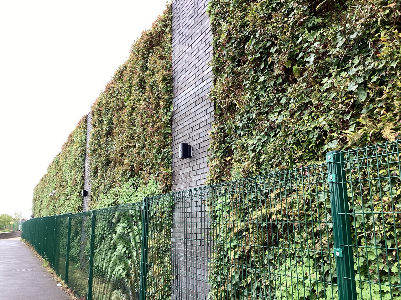 Green wall