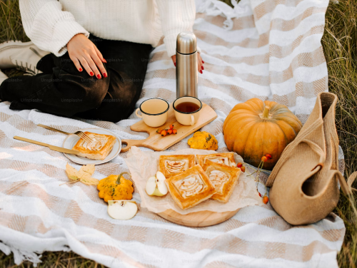 Woman sitting on picnic blanket with autumnal spread in front of her