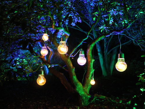 Large decorative lightbulbs hanging from a tree