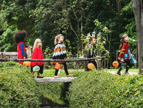 Kids walking in the woods in fancy dress
