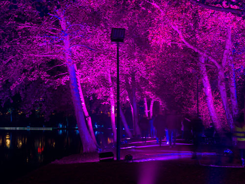 Light Night festival Wigan