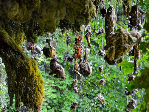 Autumn woodland at Mother Shipton’s Cave, with moss-covered rocks and objects hanging beneath the dripping petrifying well amid green and golden October foliage.