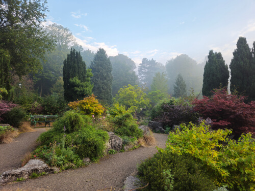 The Preston Japanese Gardens on a misty day.