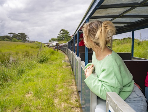 A woman looking out at nature from a train or tram.