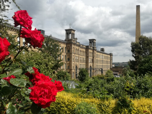 A building in Saltaire can be seen in the background along with a smoke stack. The foreground is dominated by flowers and foliage.