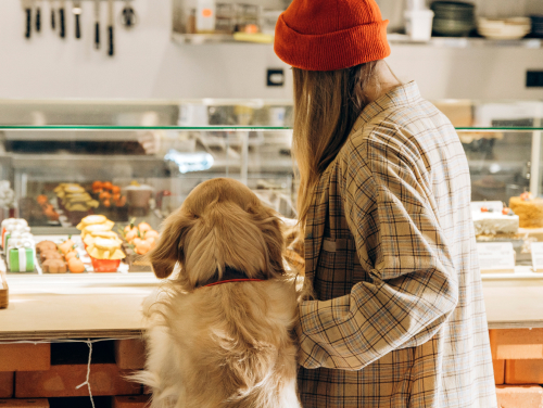 Woman with a golden retriever choosing food at the counter of a dog-friendly café.
