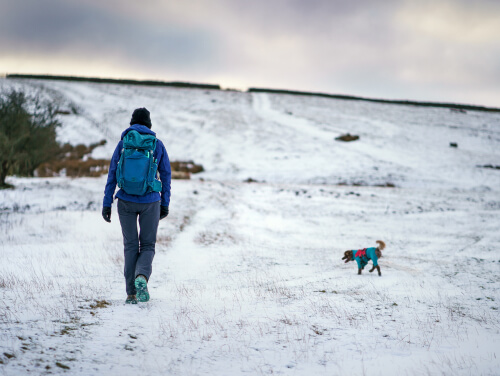 Person walking in the snow with a dog