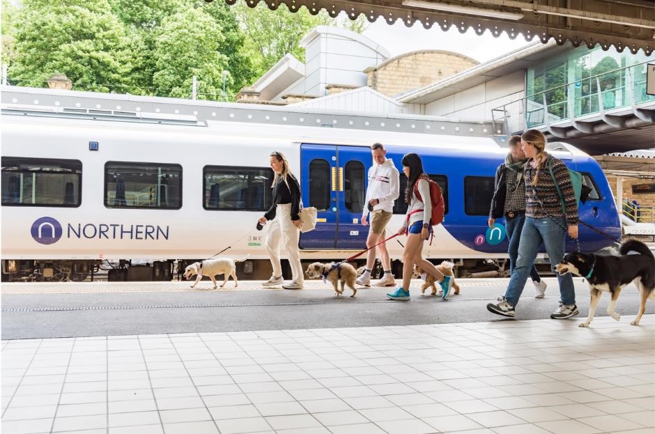 Dog on platform