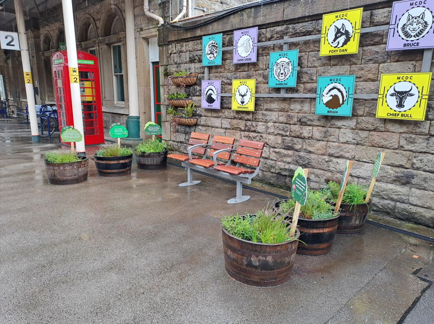 Community adopted station