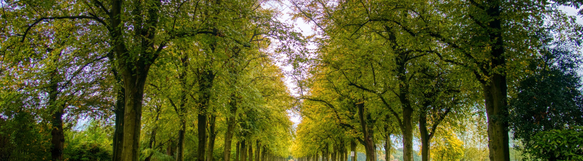 The Best Walks in Lancashire