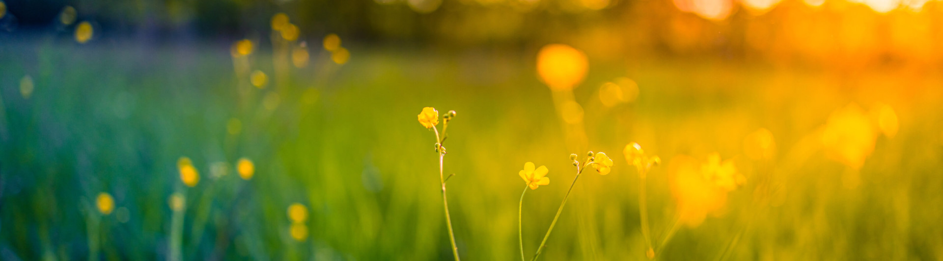 5 things to do on a Sunday in the North