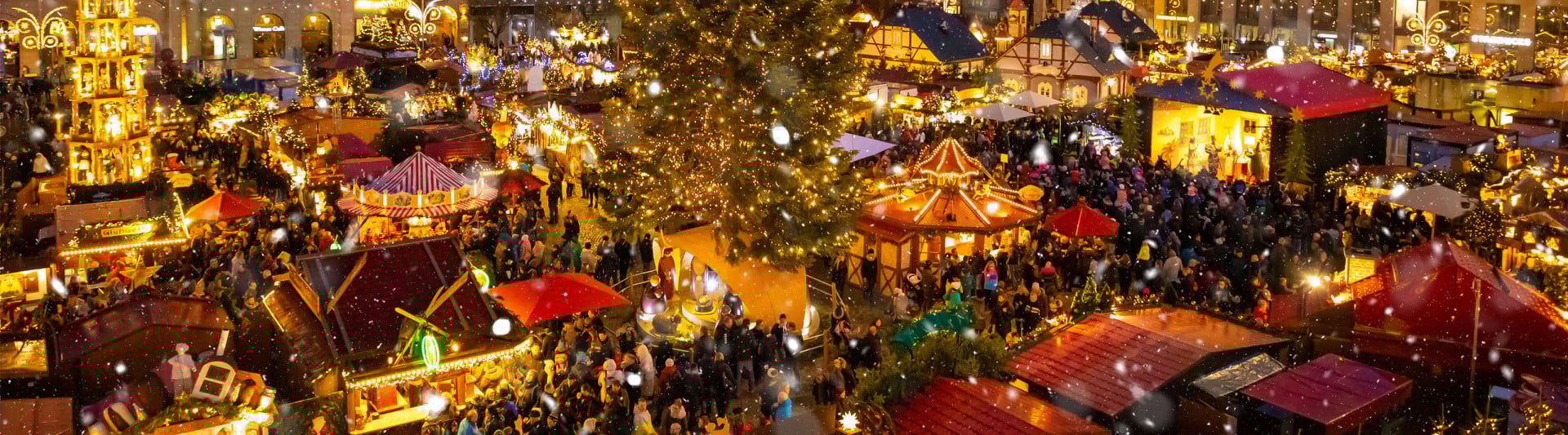 Winter Wonderland's in the North