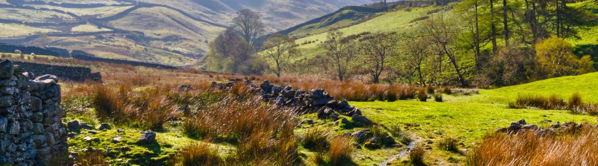 Dales Railcard