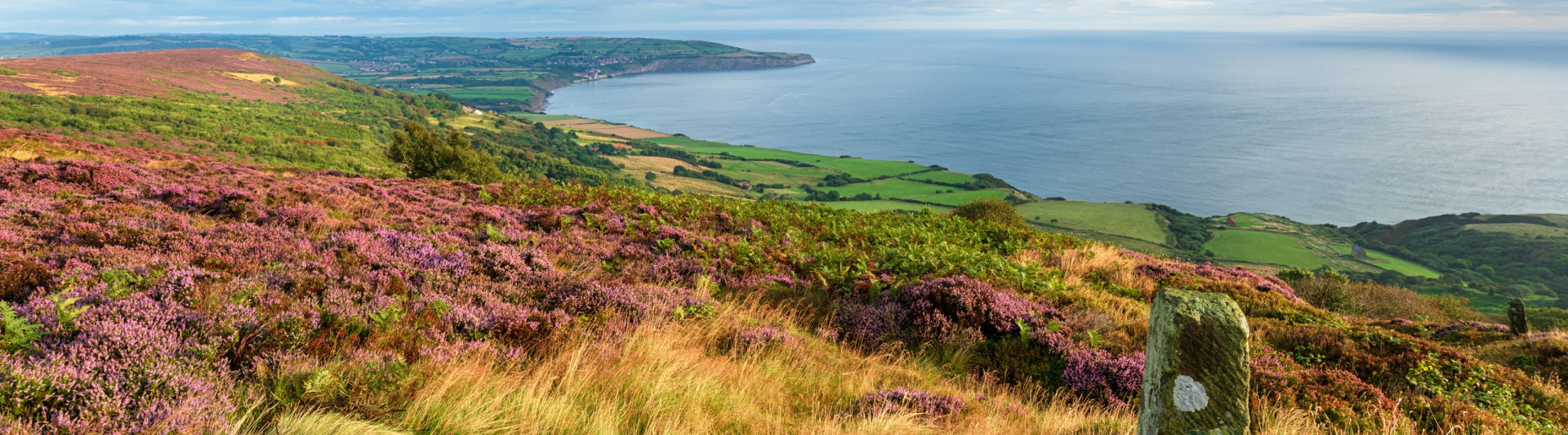 Embark on an exciting outdoor adventure