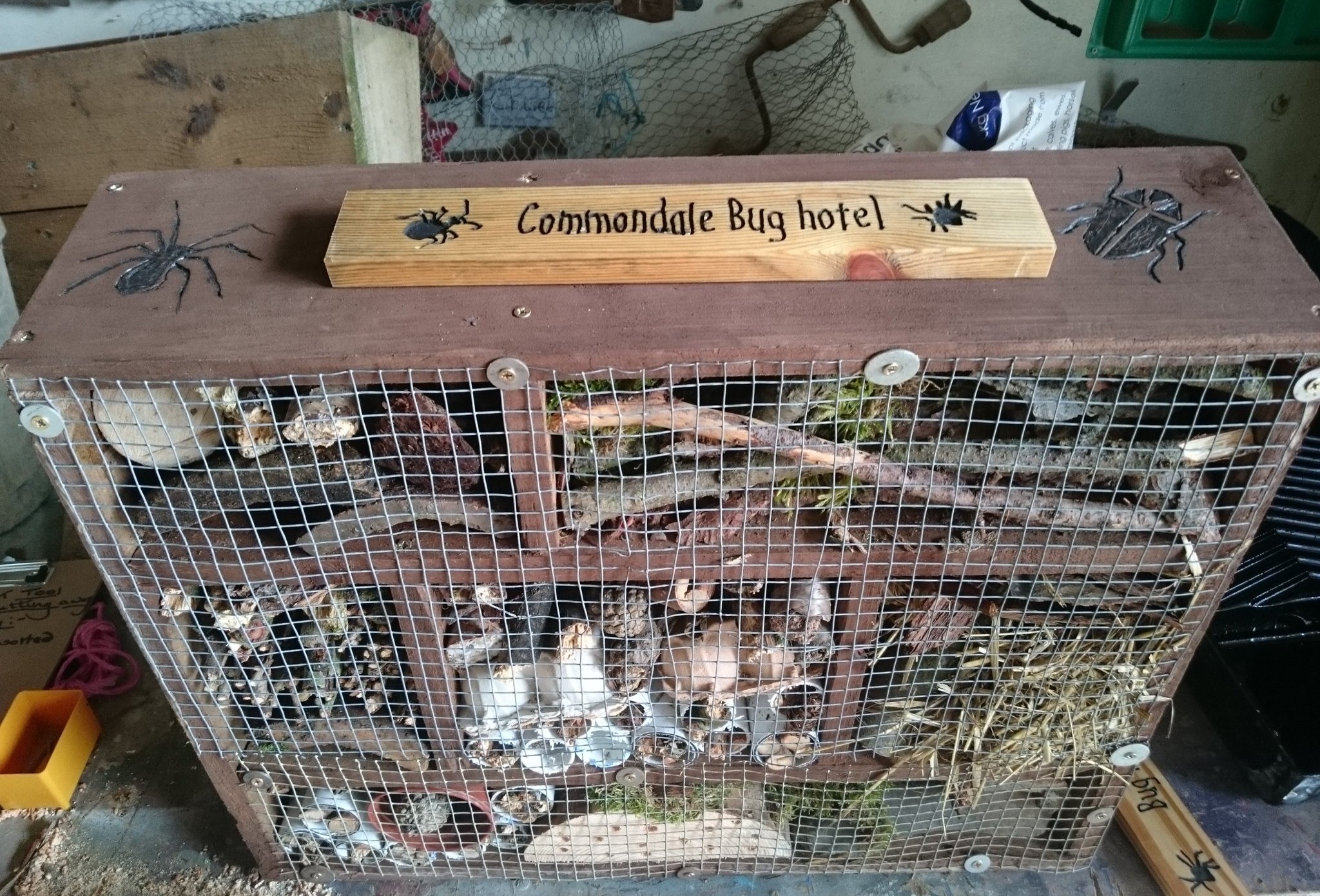 bug-hotel-commondale
