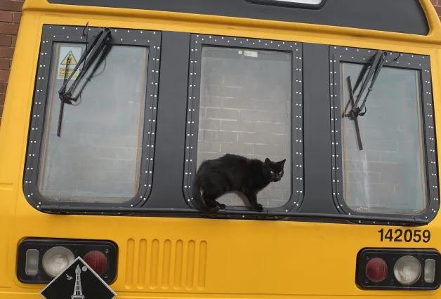 6vqbk-nsvp6-1cicl-sr5wm-qjzsc