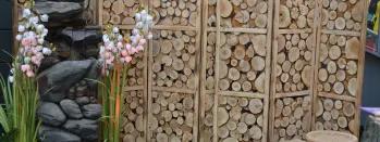 Zen Garden 1 dsc-0158