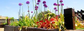 Driffield 1 driffield-1