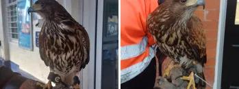 Ha-200 pk57w-dvopz-eh1jb-v90ww-rgm1p