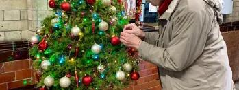 Image shows one of the rental Christmas trees at Hebden Bridge (1) image-shows-one-of-the-rental-christmas-trees-at-hebden-bridge-1