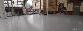 Manchester worker bee at Victoria manchester-worker-bee-at-victoria