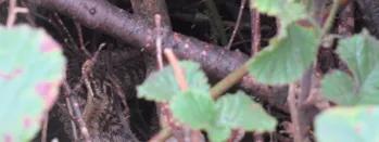 Seascale adder seascale-adder