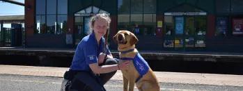 Support Dogs (1) vdxya-8ckac-vm85x-i8eze-n9djj