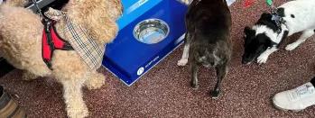 ek76o-poyt2-88mxh-9w74q-bcson