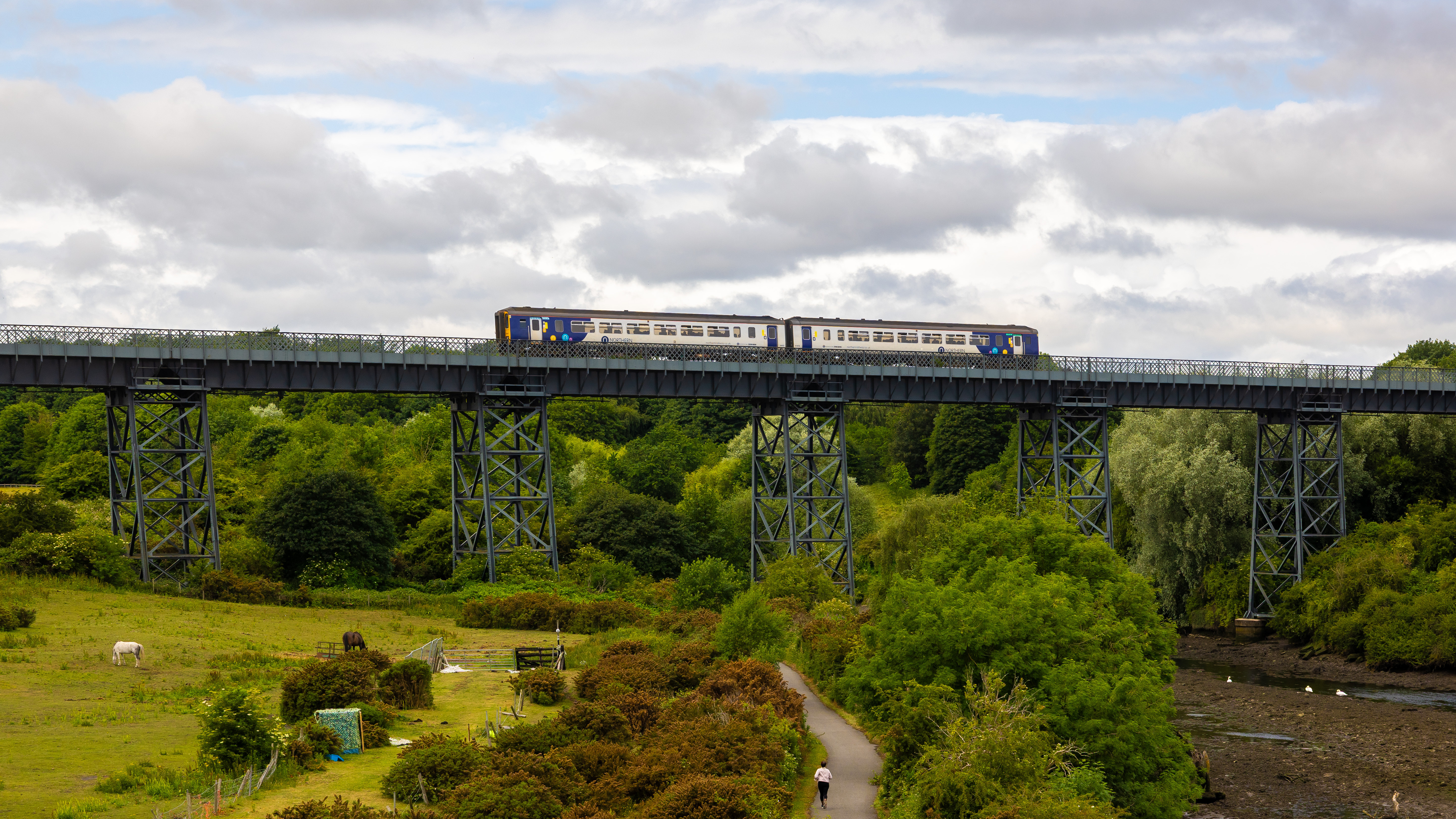 An image of a Northumberland Line service crossing the North Seaton Viaduct