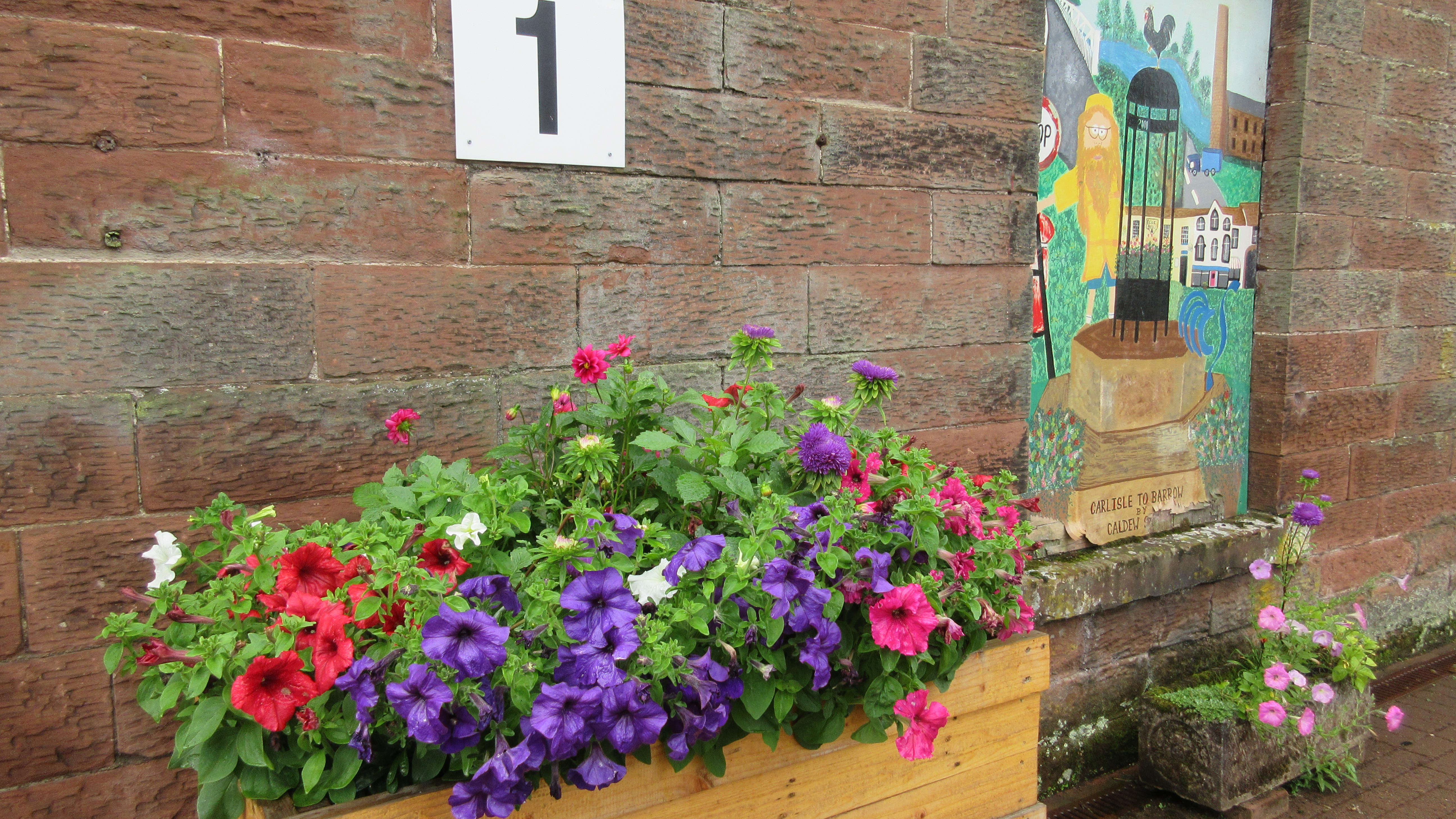 This image shows new flowers at Dalston