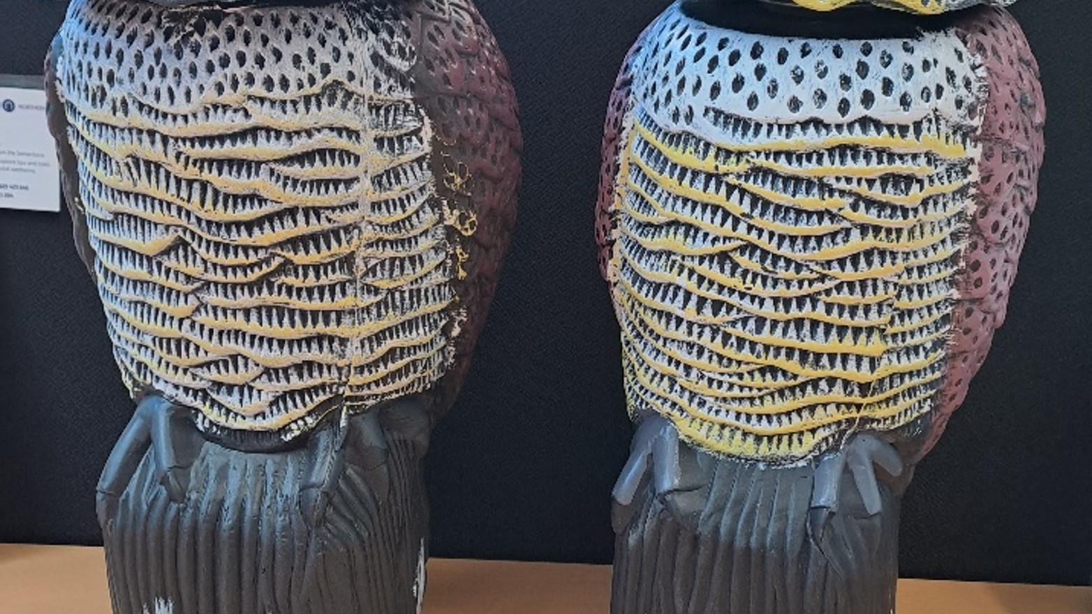 This image shows the plastic owls that are being used at Morpeth station