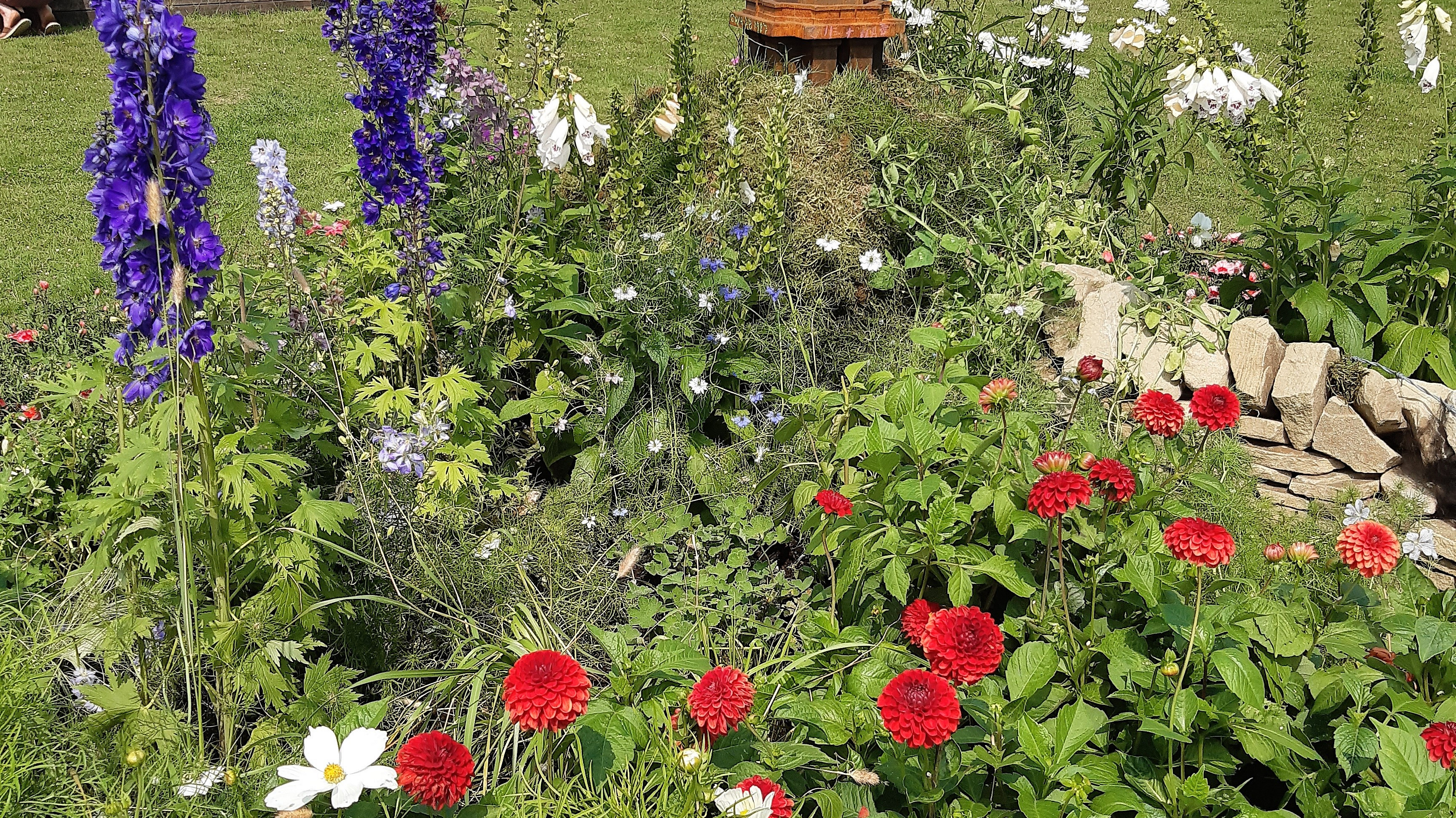 tatton flower show (3)