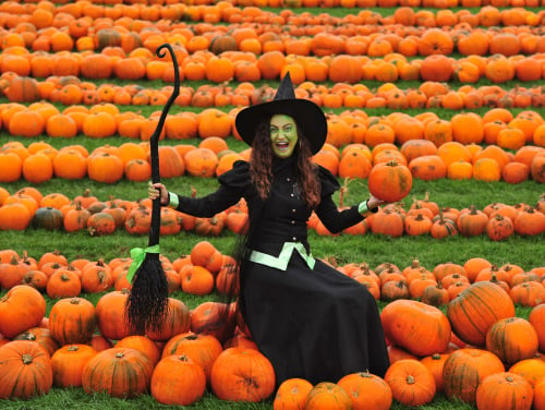 Young woman dressed as a witch sitting on pumpkins at Stockeld Park in Leeds